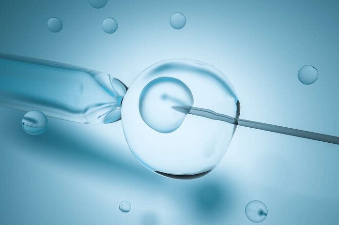 O que é a fertilização in vitro? - CIM